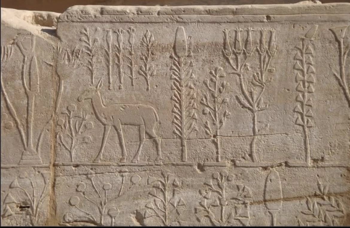 البساتين والحدائق في مصر القديمة (13)