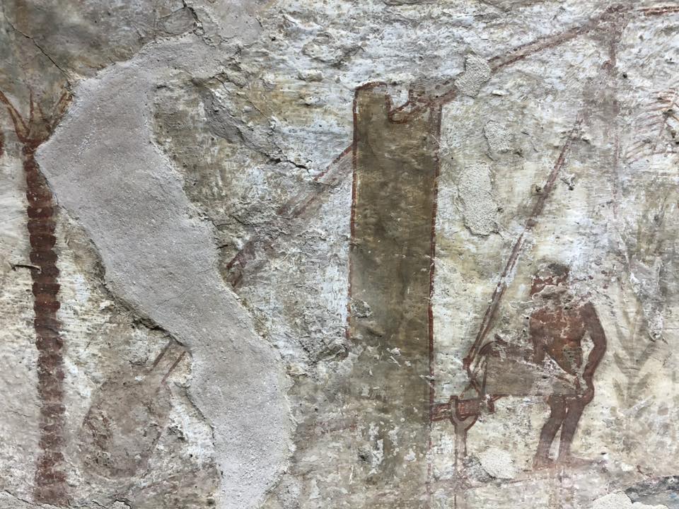 البساتين والحدائق في مصر القديمة (3)