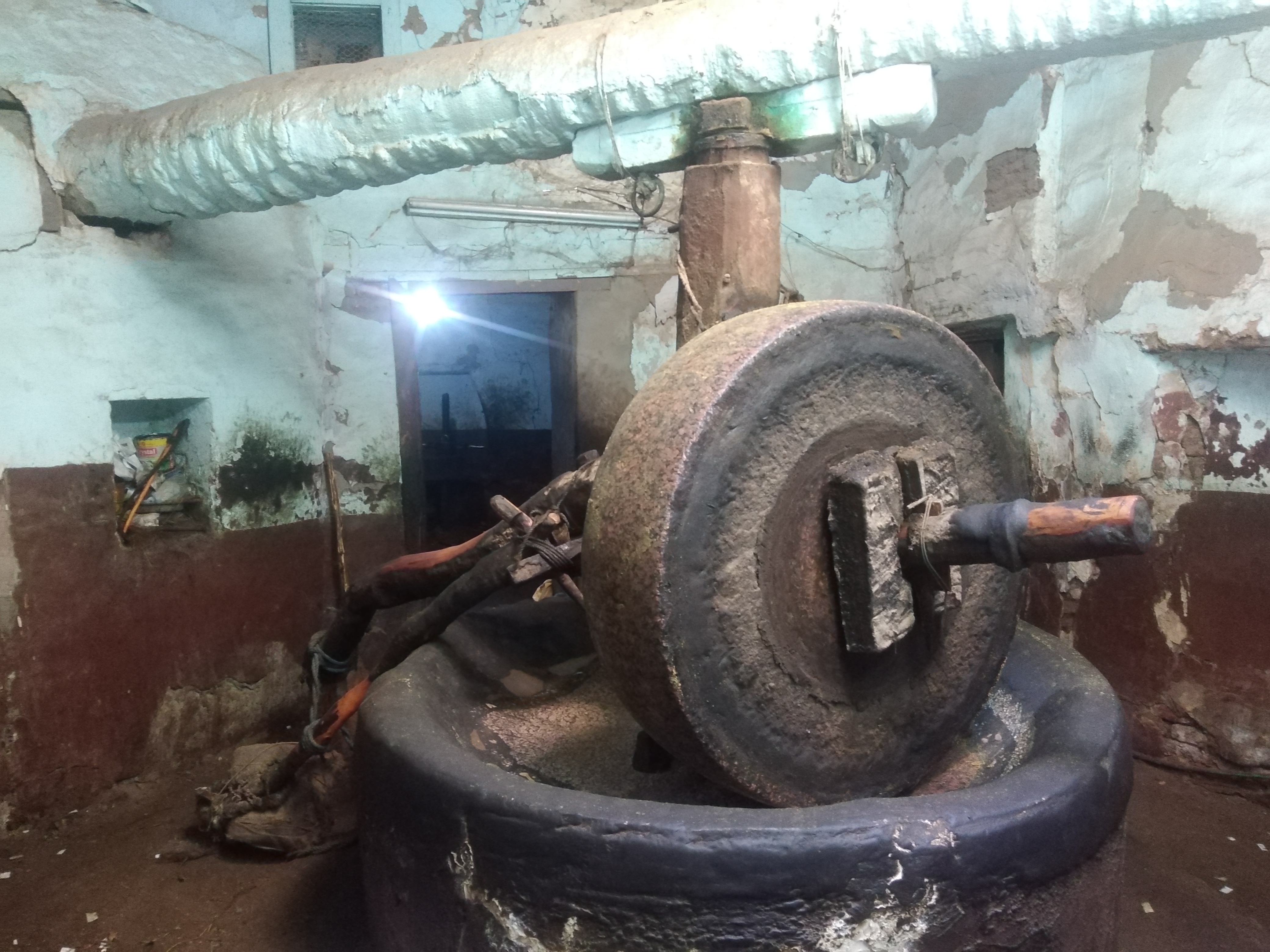 معصرة زيوت يونس