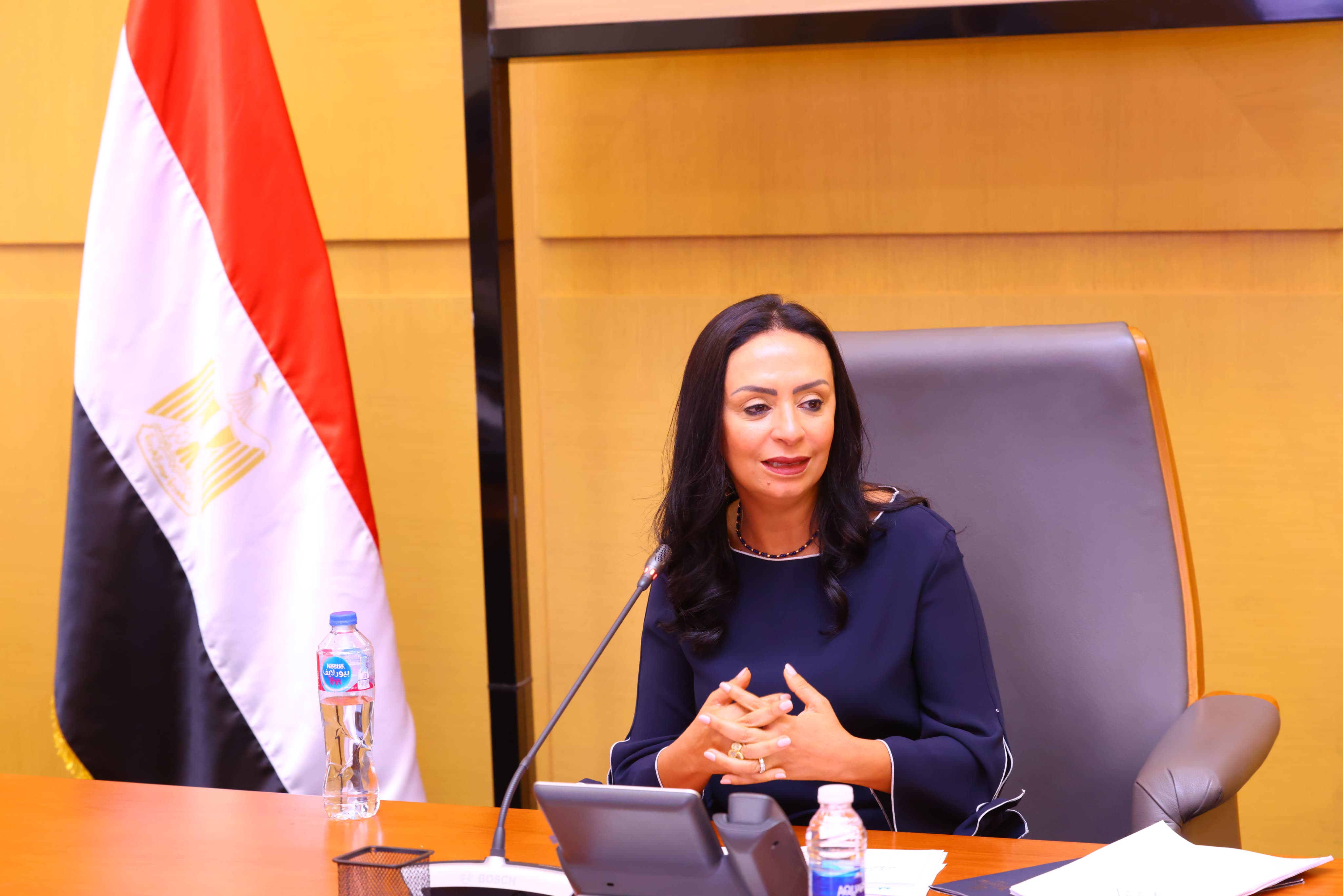 الدكتورة مايا مرسى وزيرة التضامن تترأس اجتماع اللجنة العليا للأسر الكفالة البديلة الدكتورة مايا مرسى وزيرة التضامن تترأس اجتماع اللجنة العليا للأسر الكفالة البديلة