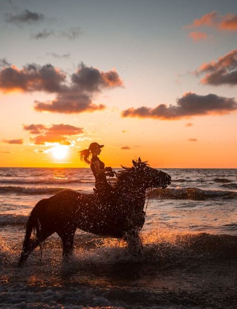 تفسير حلم ركوب الخيل على البحر.. دلالات نفسية مختلفة أبرزها التحدى