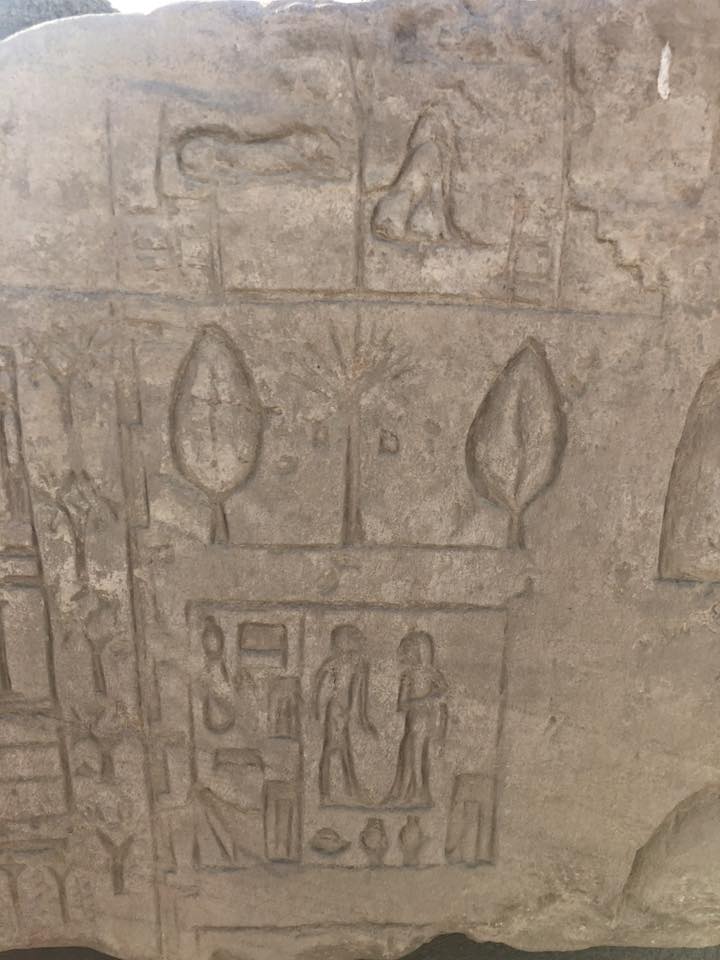 البساتين والحدائق في مصر القديمة (11)