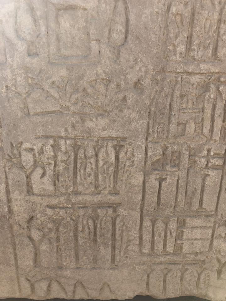 البساتين والحدائق في مصر القديمة (7)