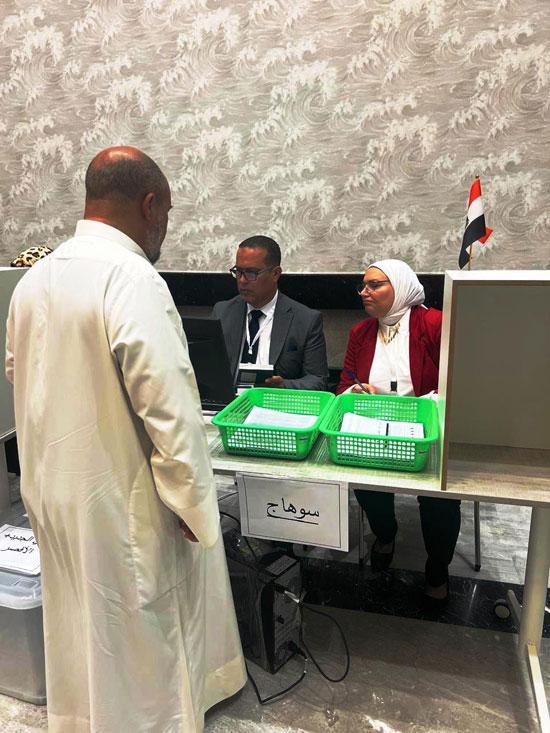 انتخابات مجلس الشيوخ للمصريين في الخارج (12)