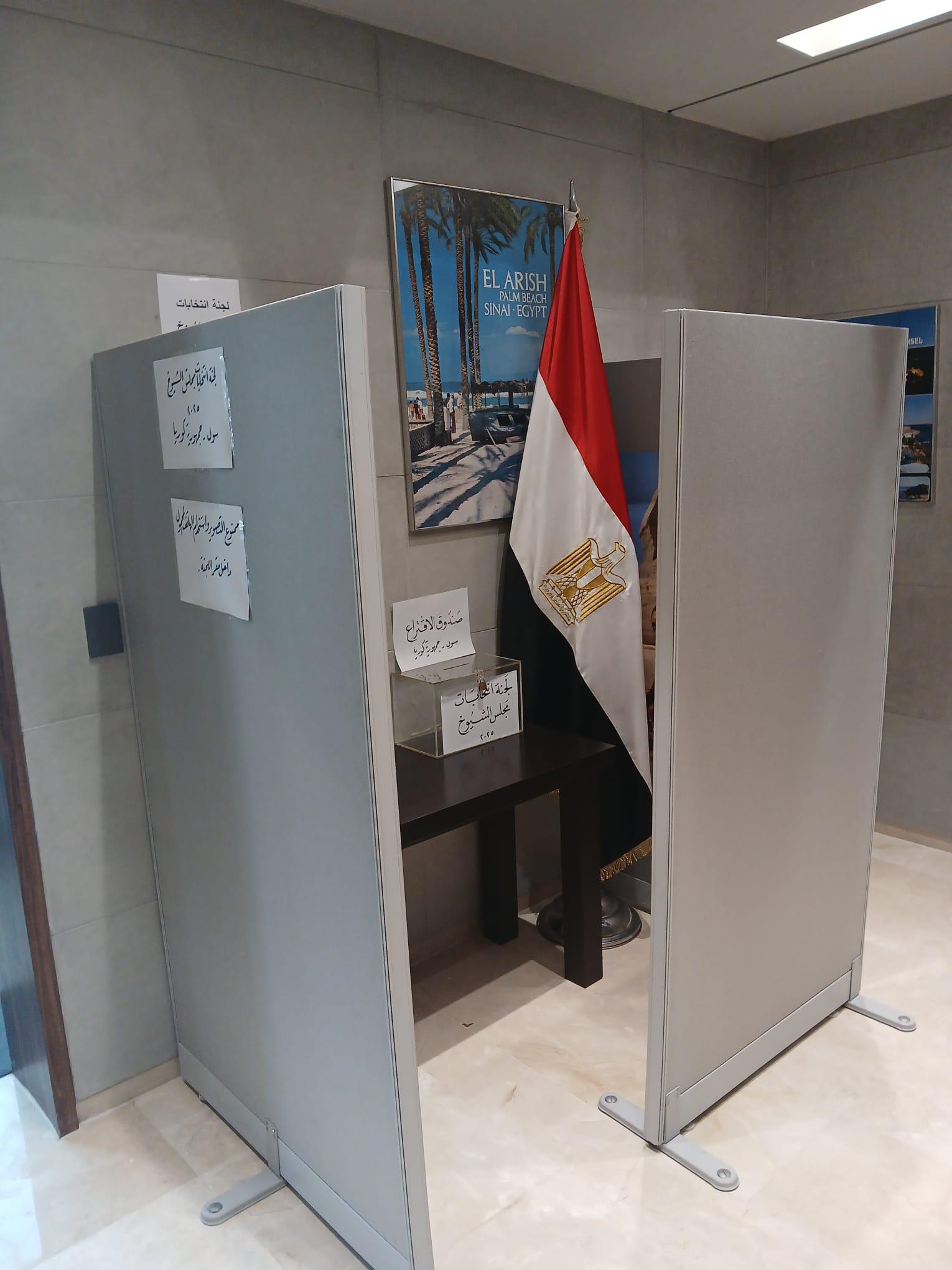 بدء تصويت المصريين بماليزيا وسنغافورة والصين فى انتخابات مجلس الشيوخ (4)