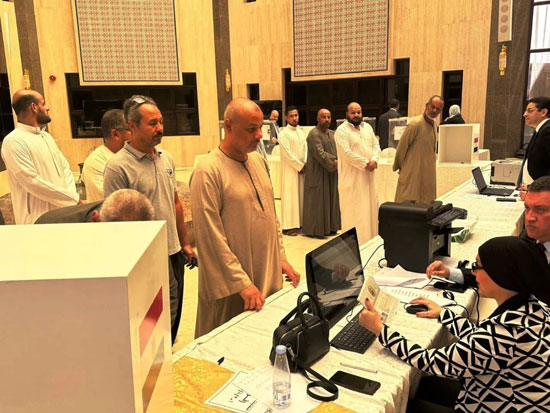 انتخابات مجلس الشيوخ للمصريين في الخارج (8)