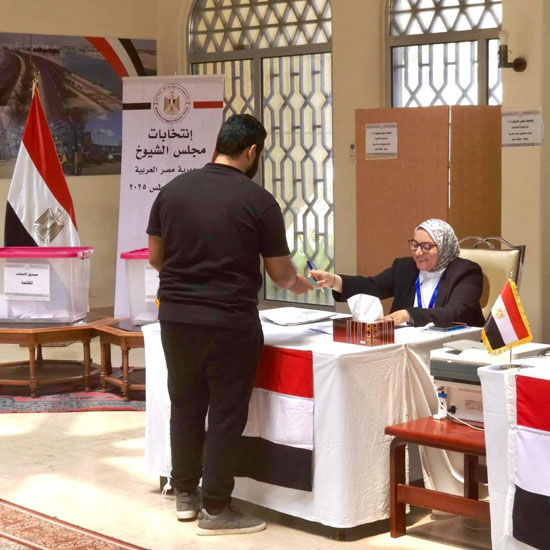 انتخابات مجلس الشيوخ للمصريين في الخارج (14)
