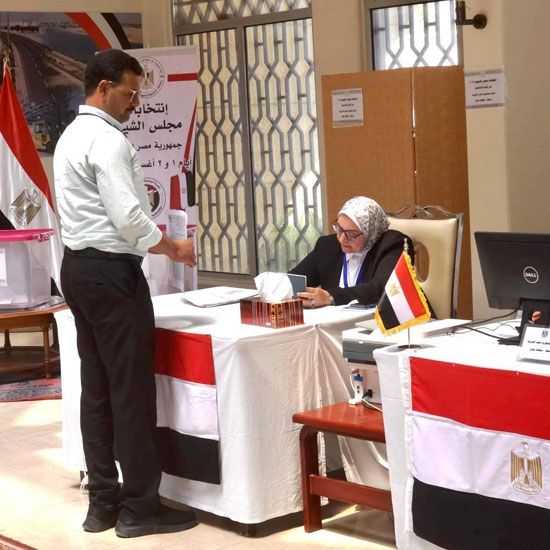 انتخابات مجلس الشيوخ للمصريين في الخارج (18)
