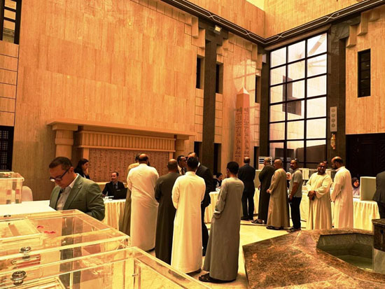 انتخابات مجلس الشيوخ للمصريين في الخارج (17)