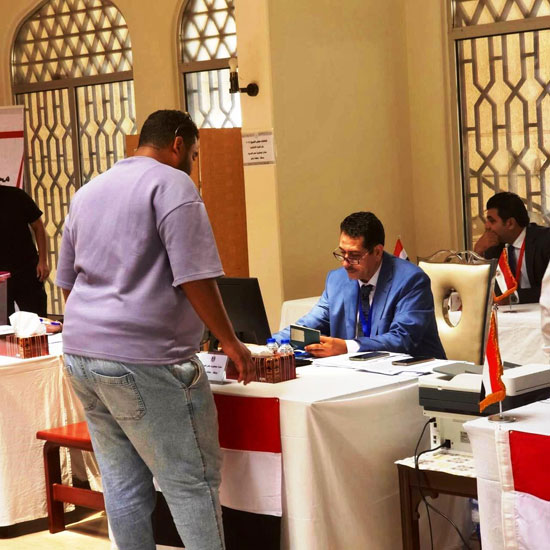 انتخابات مجلس الشيوخ للمصريين في الخارج (6)