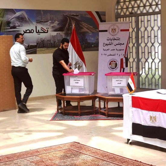 انتخابات-مجلس-الشيوخ-للمصريين-في-الخارج-(11)