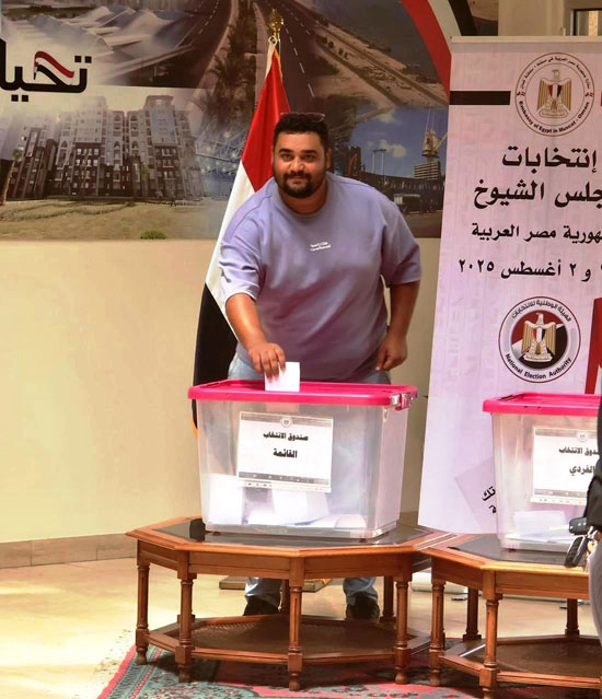 انتخابات مجلس الشيوخ للمصريين في الخارج (16)