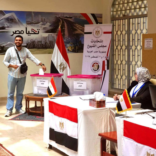 انتخابات مجلس الشيوخ للمصريين في الخارج (5)