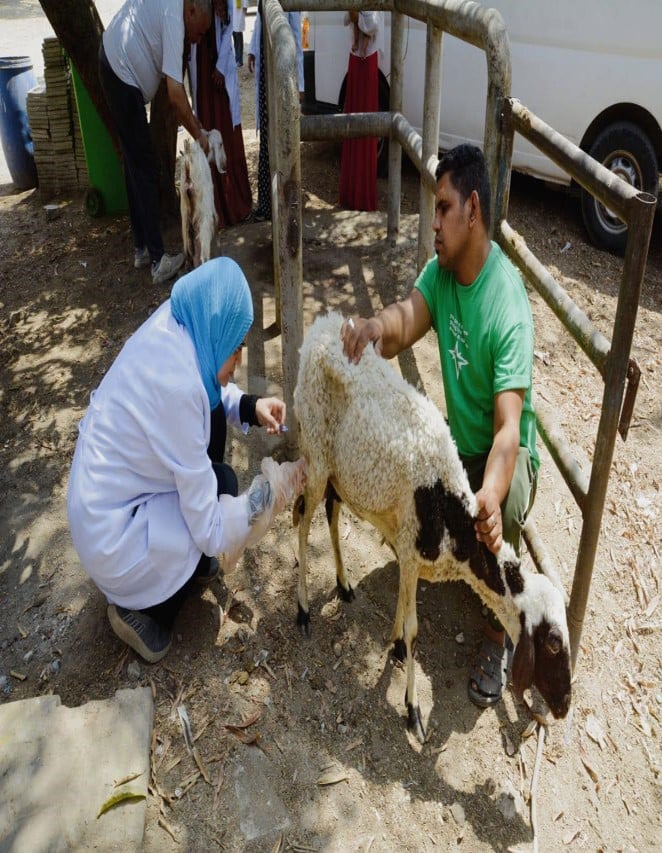قافلة بيطرية مجانية