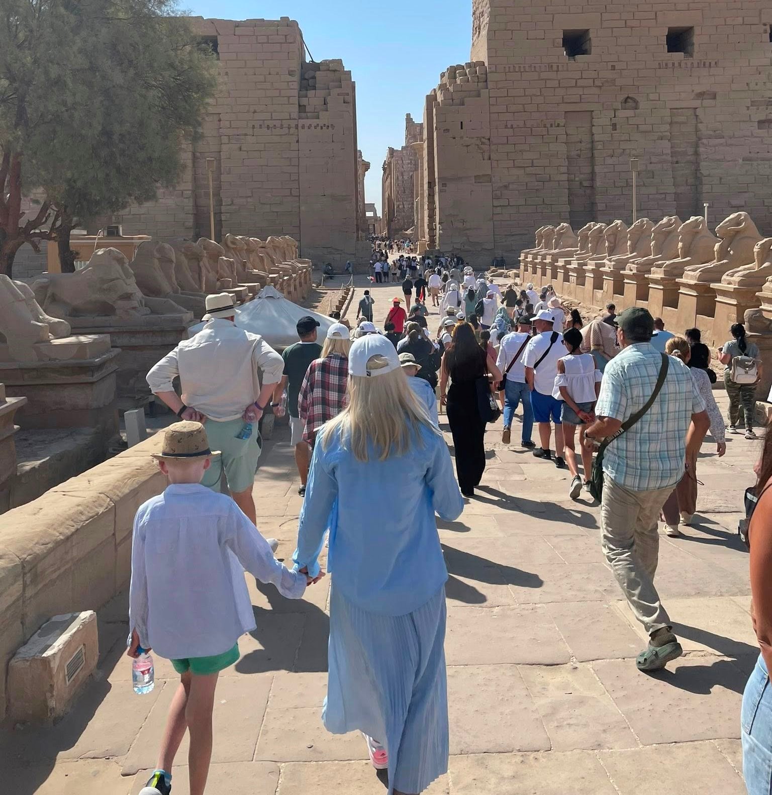 توافد السياح اليومى على المعابد بالأقصر توافد السياح اليومى على المعابد بالأقصر