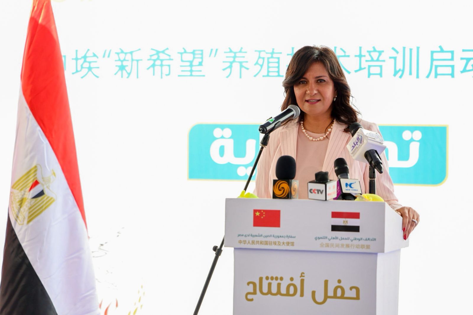 السفيرة نبيلة مكرم السفيرة نبيلة مكرم