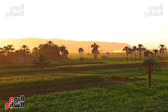 جمال وسحر الطبيعة جمال وسحر الطبيعة