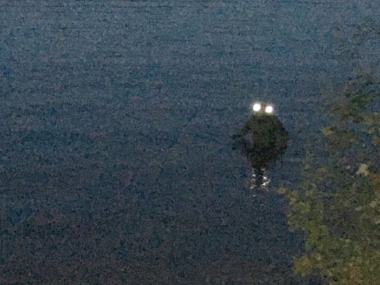 الرجل الضفدع