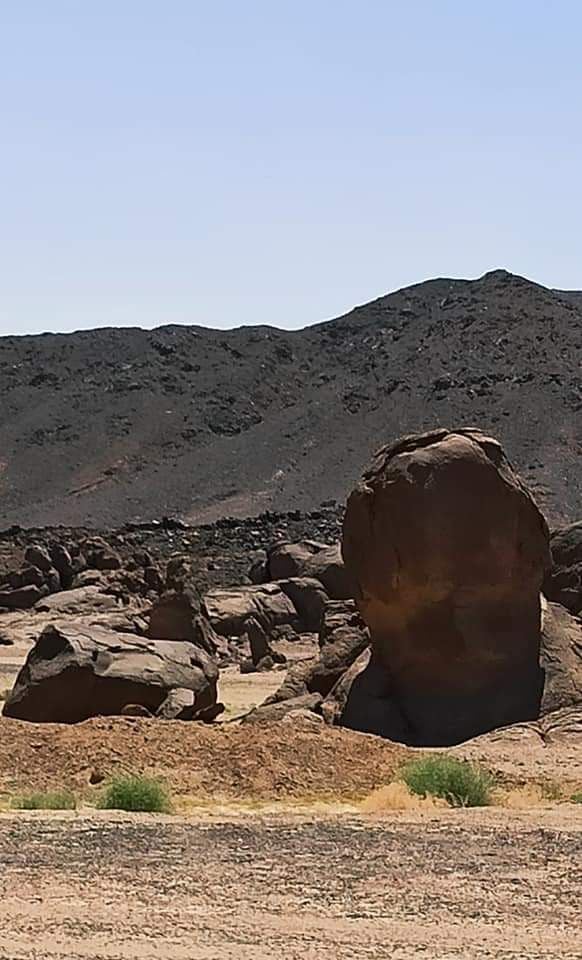 أبرق ضمن قطاعات محمية جبل علبة 
