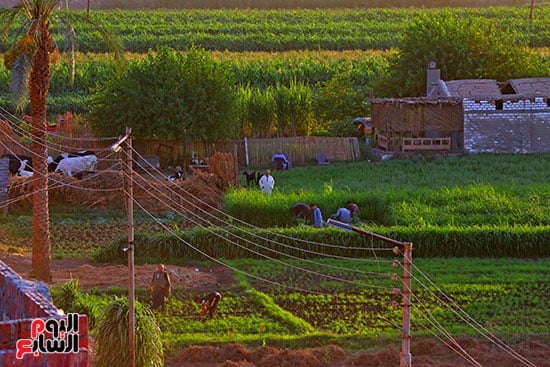 خير الارض خير الارض