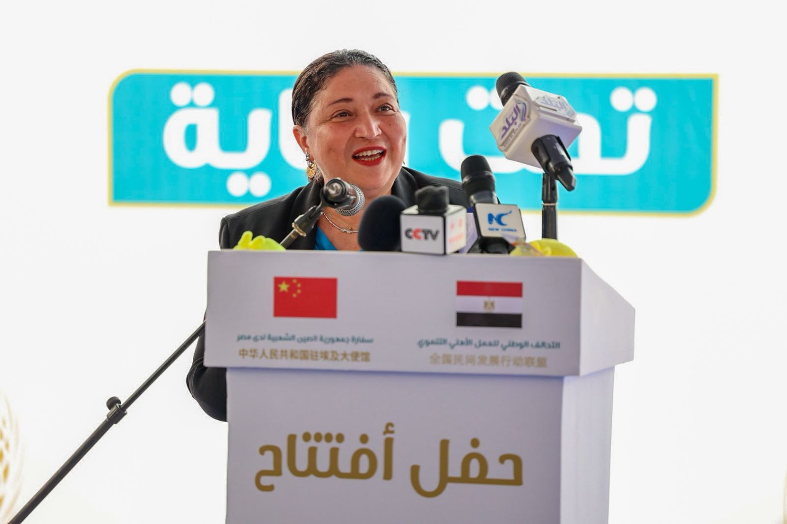 مارجريت صاروفيم نائبة وزير التضامن الاجتماعي مارجريت صاروفيم نائبة وزير التضامن الاجتماعي