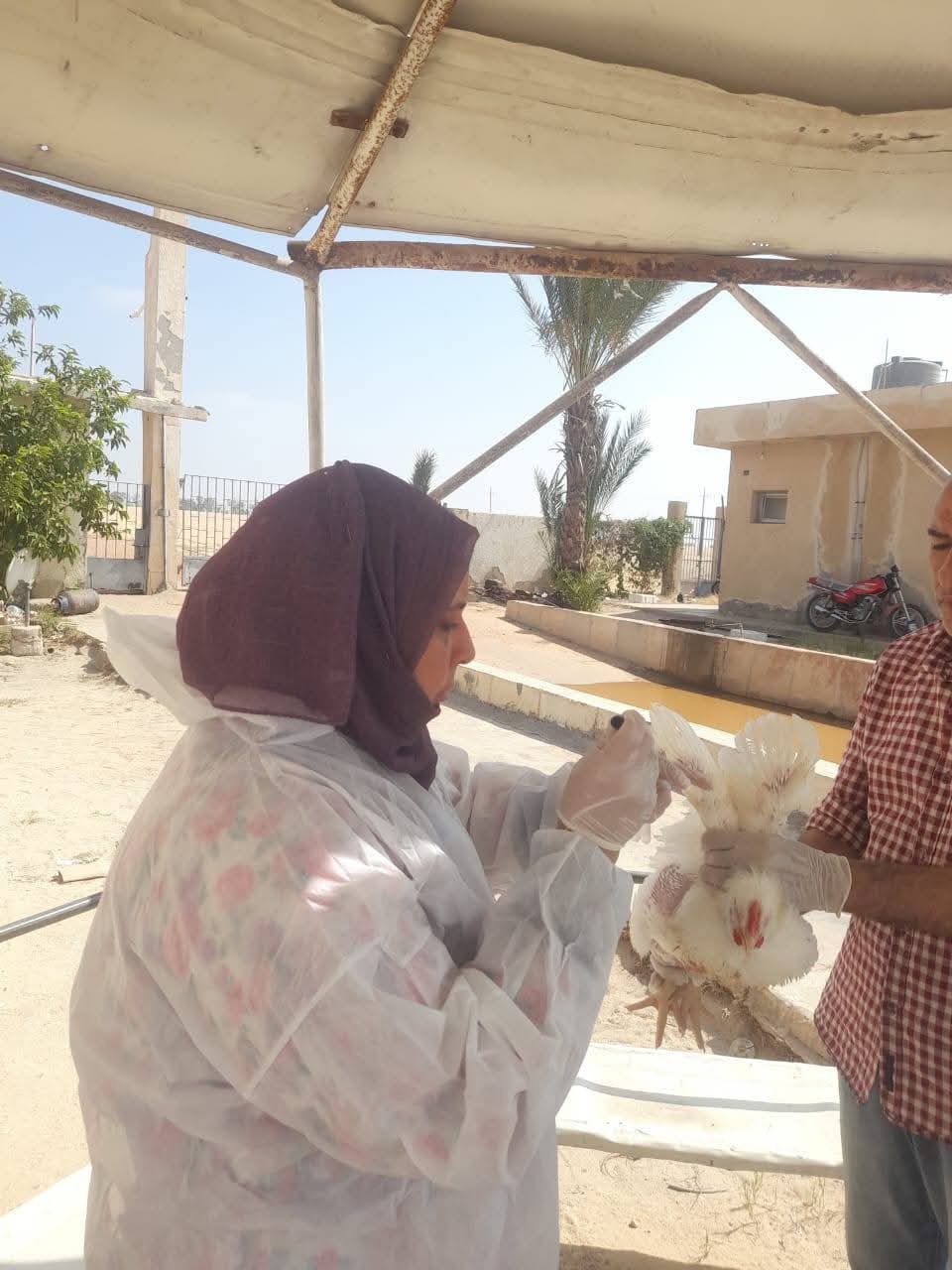 حملات تطعيم الطب البيطرى (1)