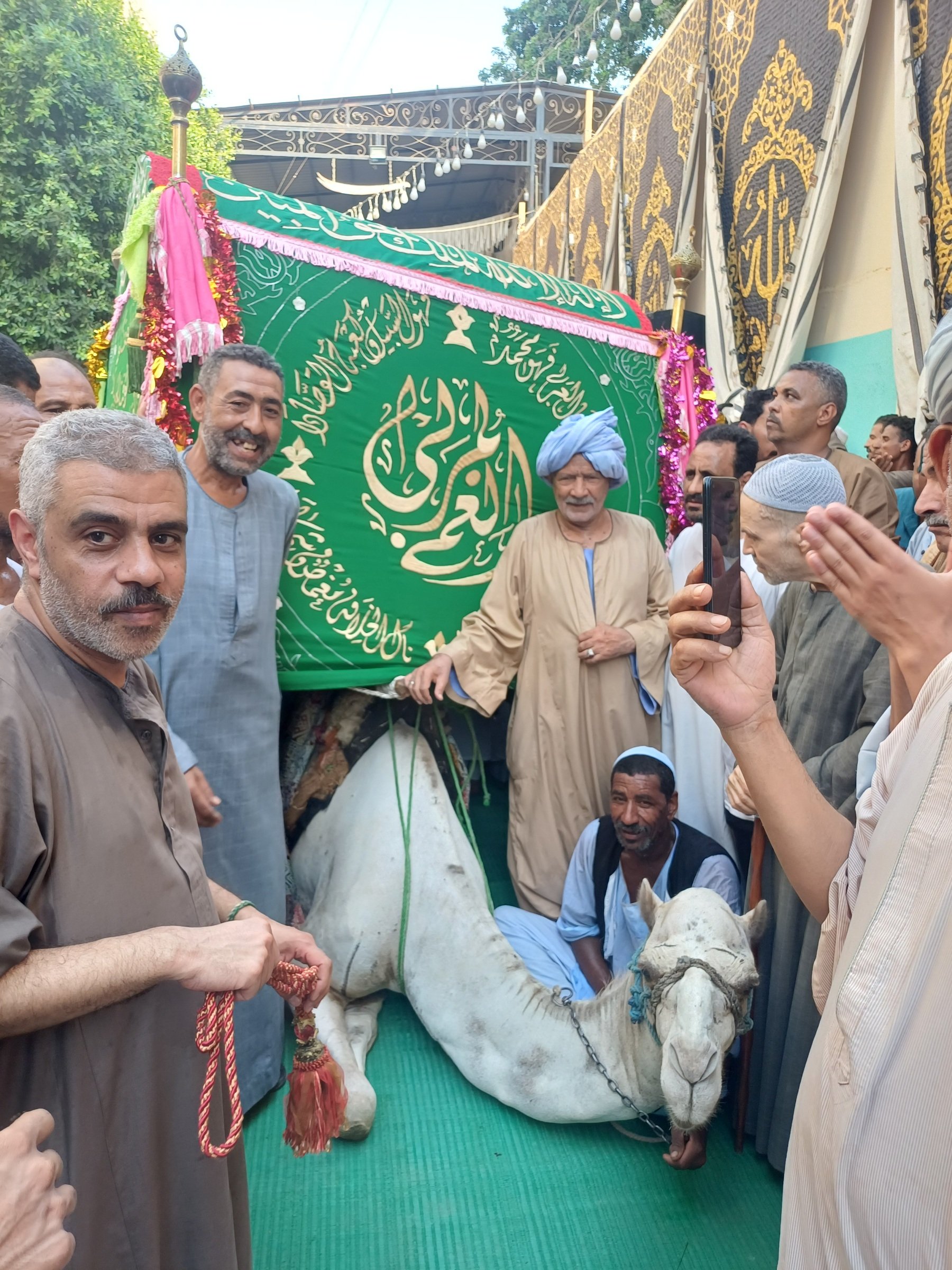 طوفة الجمل