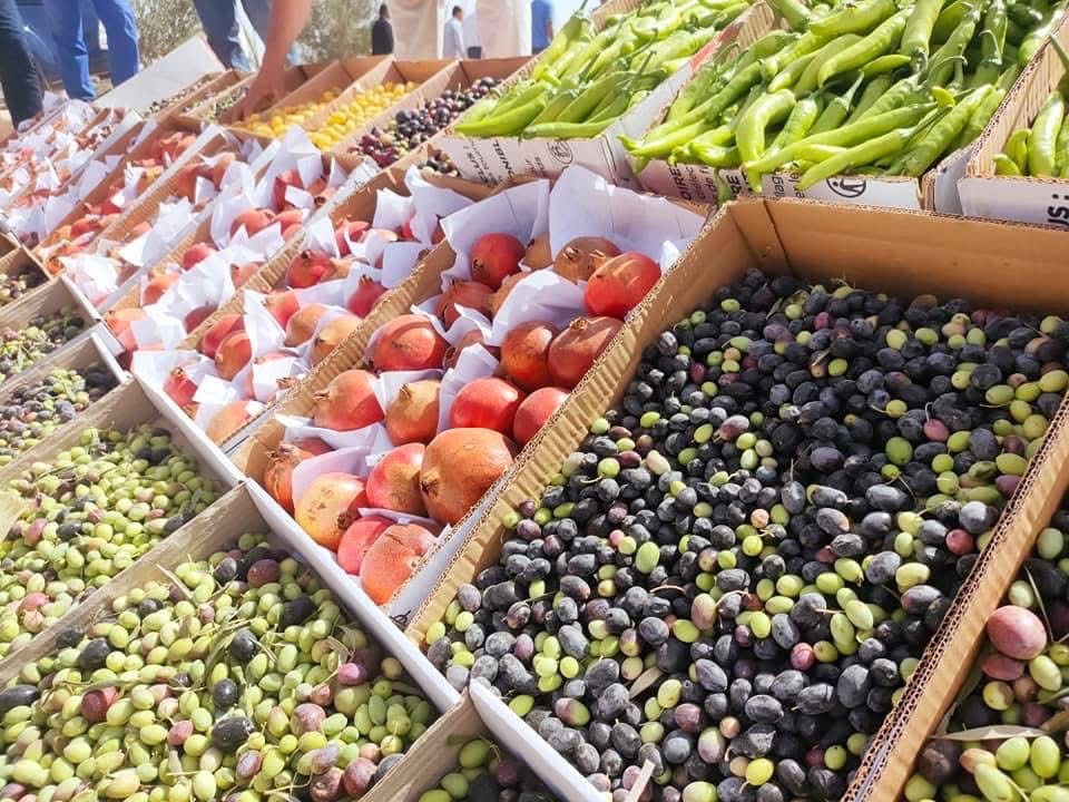 محاصيل وفرص استصلاح