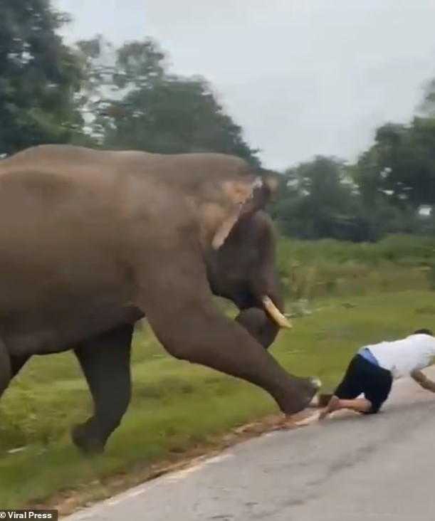 صورة أخرى من الحادث صورة أخرى من الحادث