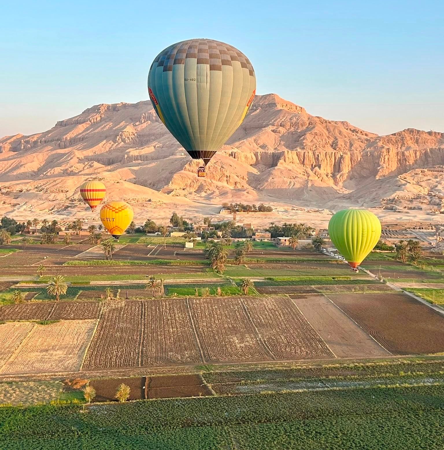 جانب من تغريد رحلات البالون الطائر