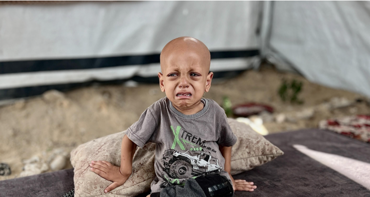 عبدالله أبو زرقة عبدالله أبو زرقة
