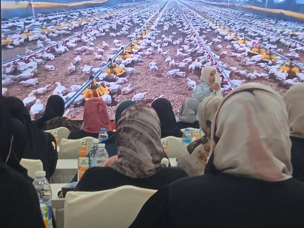 3dfaea05-3f87-4dee-b06b-2decb39f5b9b