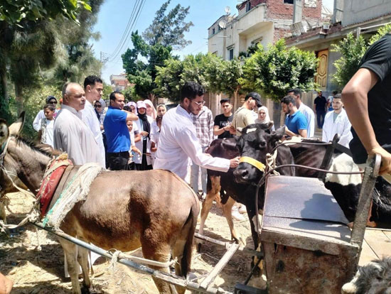 الكشف فى القافلة البيطرية الكشف فى القافلة البيطرية