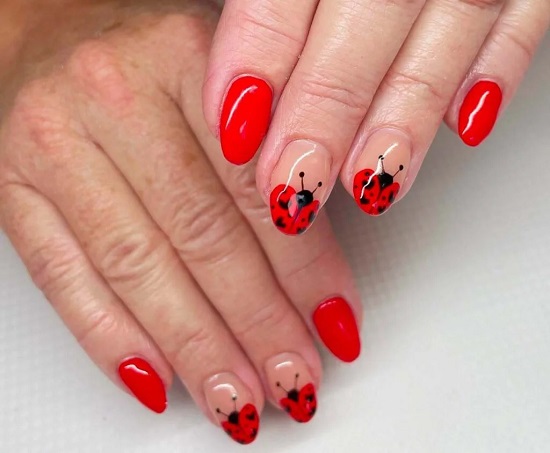 أظافر الخنفساء أظافر الخنفساء