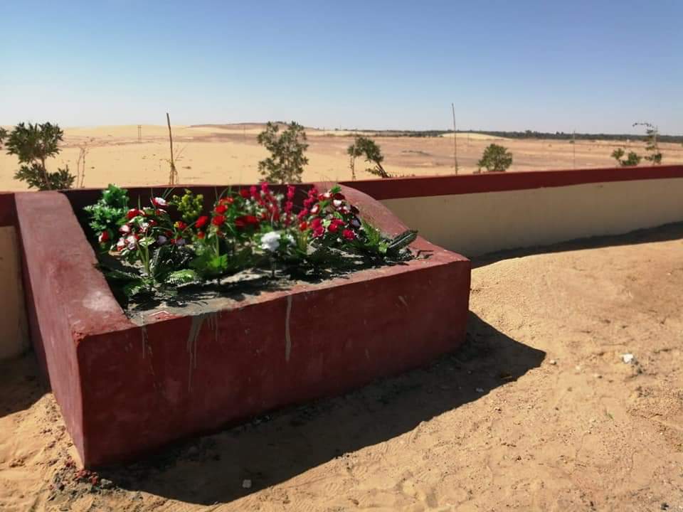 تجميل طريق مطار الخارجة