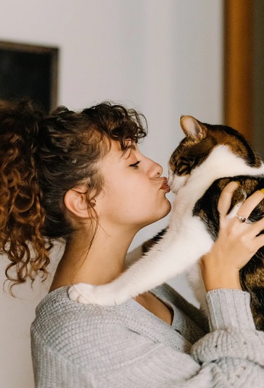 تربية الحيوانات الأليفة