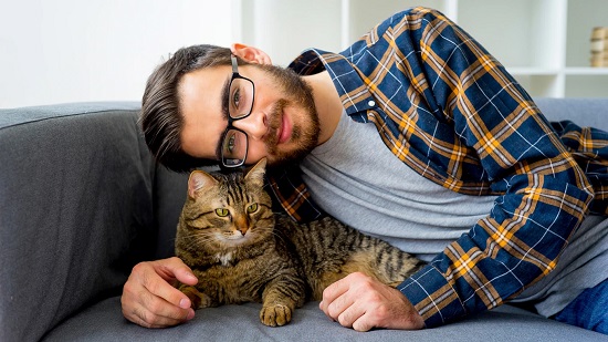 تربية القطط