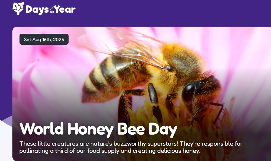 اليوم العالمى لعسل النحل اليوم العالمى لعسل النحل