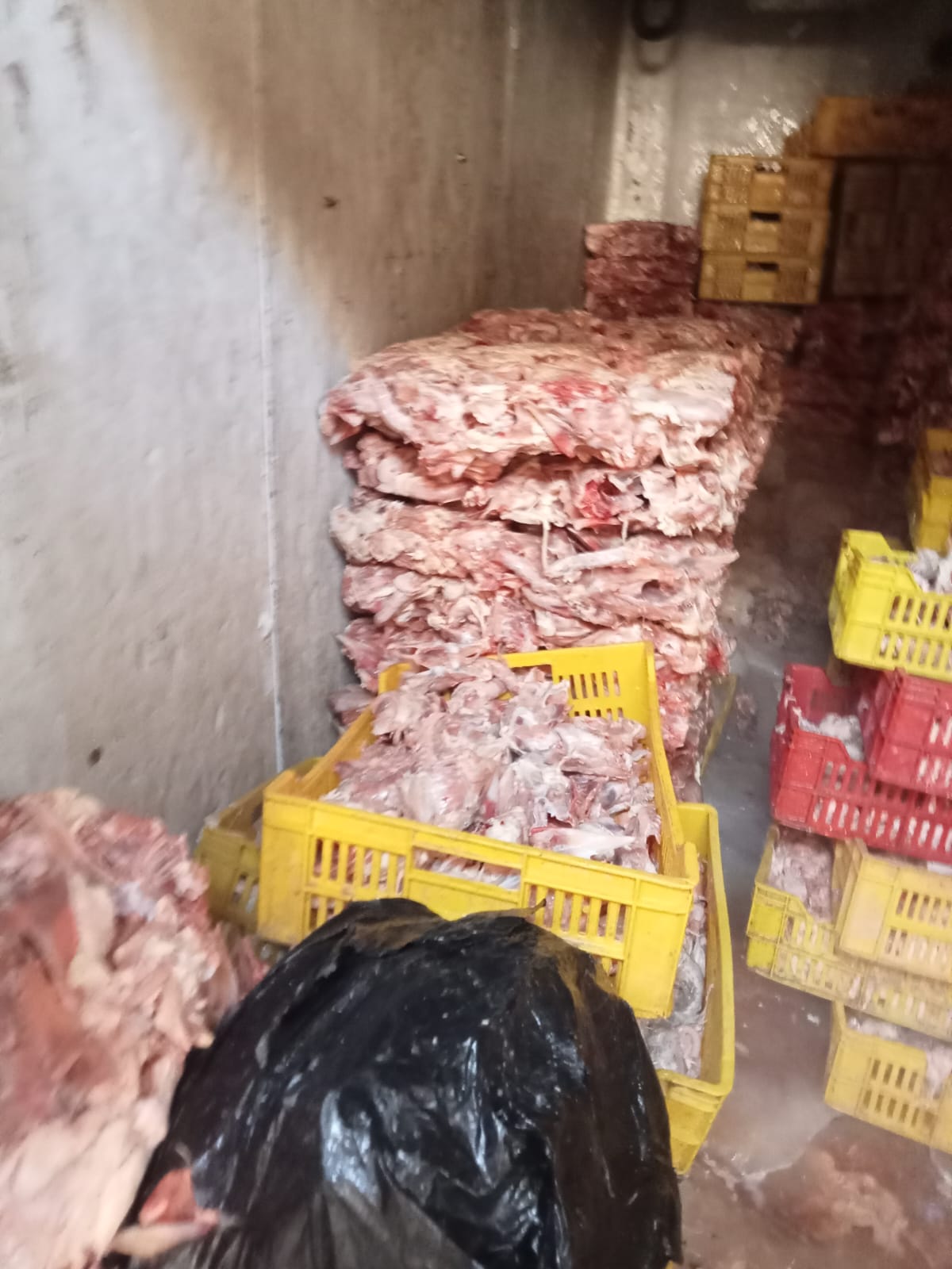 WhatsApp Image 2025-08-16 at 1.00.17 PM