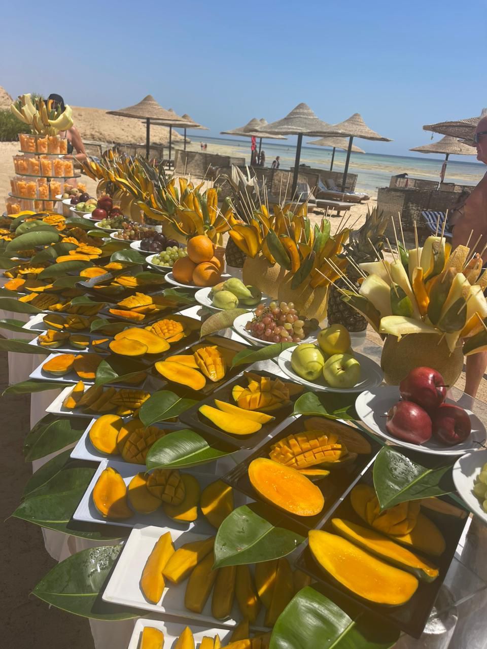 مهرجان المانجو 