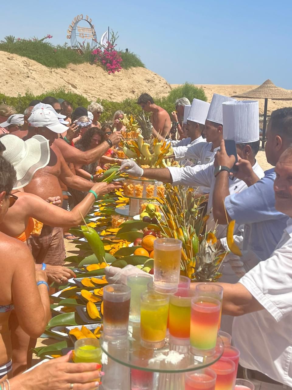 مهرجان المانجو بالبحر الأحمر 