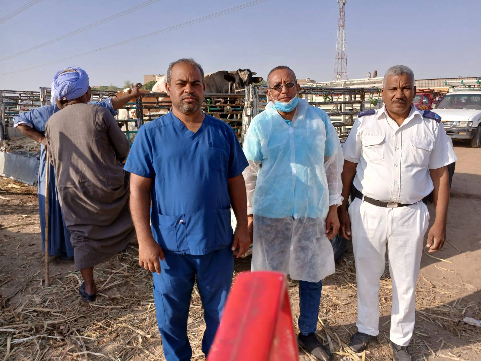 فعاليات الحملة القومية ضد مرض الحمي القلاعية فى الأقصر