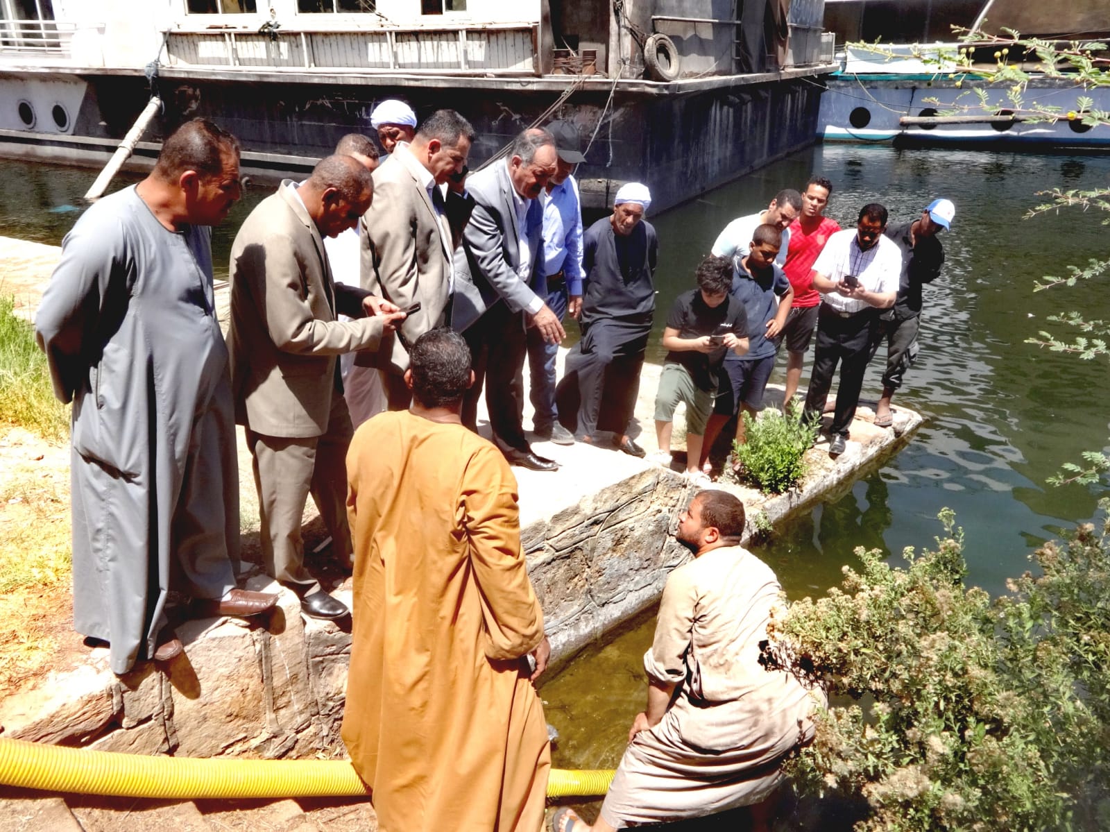 إلقاء حوالى 4 مليون ذريعة أسماك بلطى ومبروكة في نهر النيل