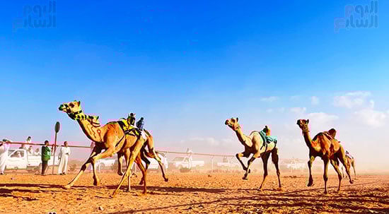 عروض-مثيرة-اثناء-السباق-