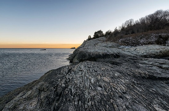 الطائر البحري سي بيرد