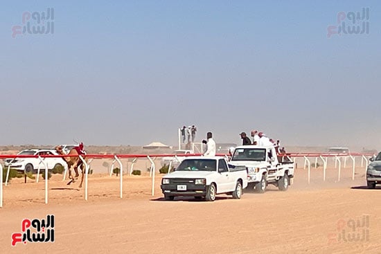 ميدان-سباقات-الهجن ميدان-سباقات-الهجن