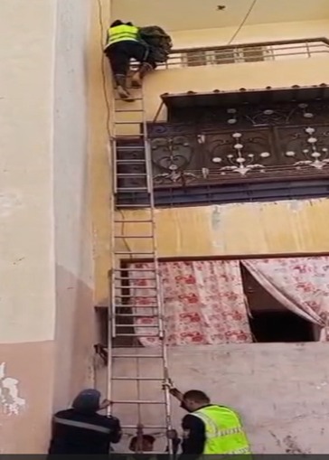 الأمن ينقذ قطة (2)