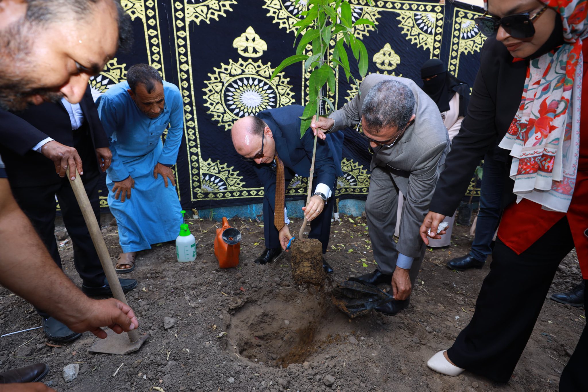 محافظ كفر الشيخ يزرع شجرة
