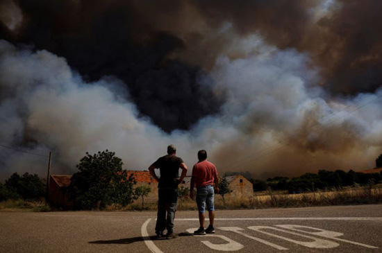 حرائق الغابات (8)