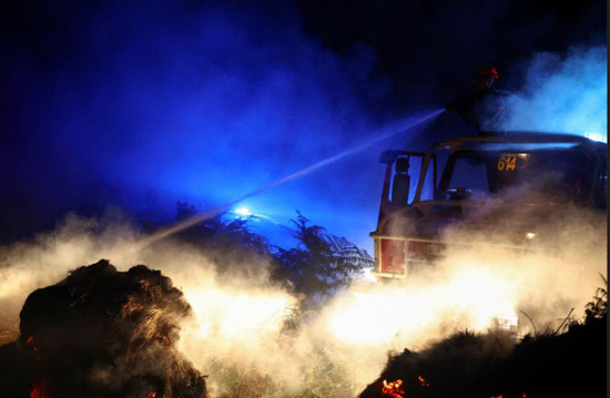 حرائق الغابات (5)